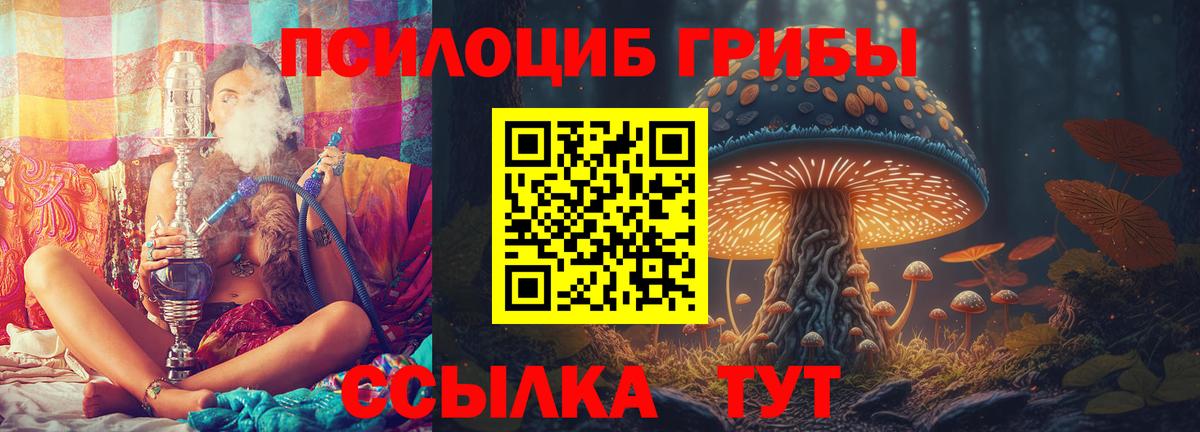 Волжский  Псилоцибиновые грибы Magic Shrooms  Вход с VPN 